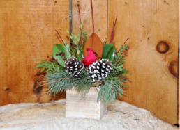 A small wooden planter is filled with evergreen cuttings, two pinecones, and a red bird.