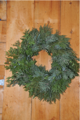 A green wreath with no decoration.